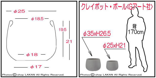 グリーンポット 小型 軽量 樹脂鉢 植木鉢