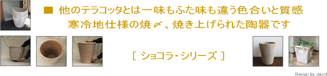 ショコラシリーズの鉢の数々