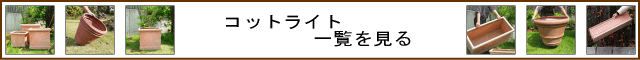 テラコッタの様な樹脂鉢