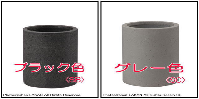 シリンダー コンクリート φ30 ガーデニング鉢 