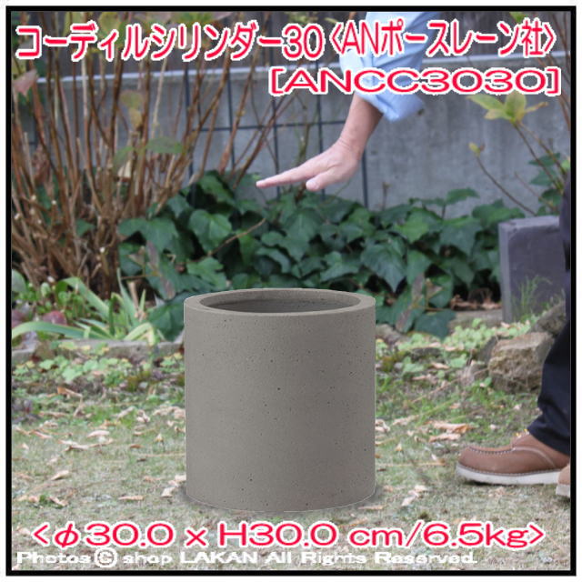 4573276846116 円筒型 コーディル 