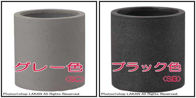 4573276846093 円状型 コーディル 