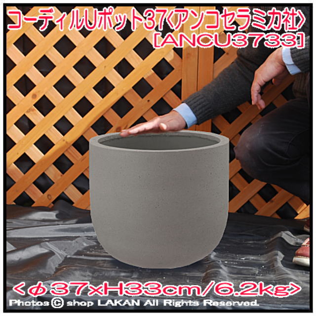 4573276846178 U型ポット コーディル 