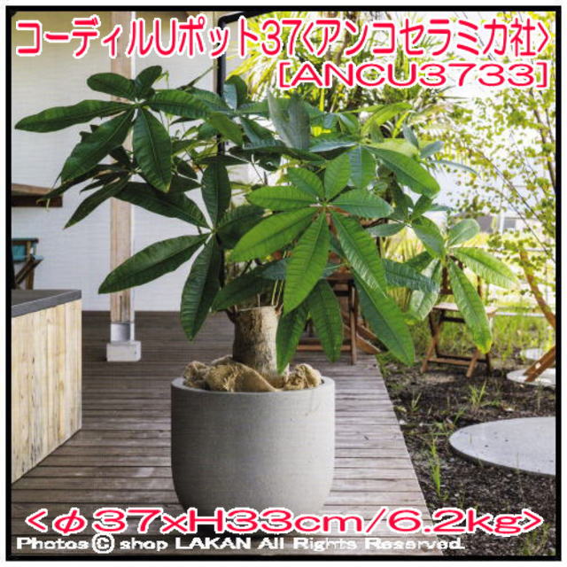 コーディル コンクリート製 植木鉢 