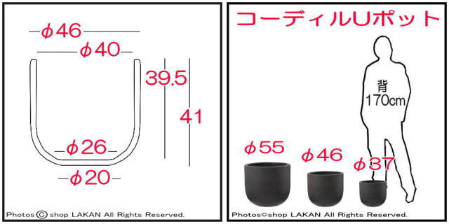 Uポット コンクリート φ46 ガーデニング鉢 