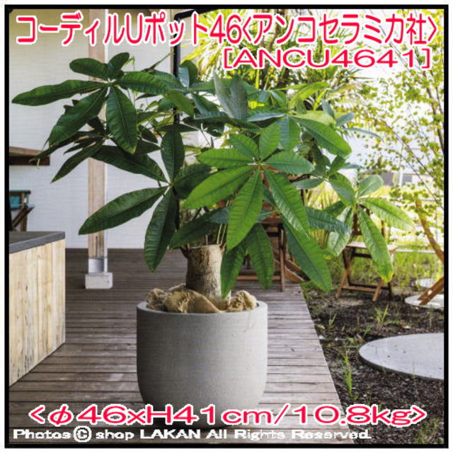 コーディル コンクリート製 植木鉢 