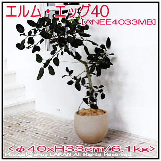 エルム ファイバーセメント製 植木鉢 エッグ40