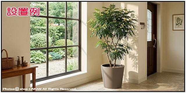 プランター 植木鉢 ポリストーン樹脂製 
