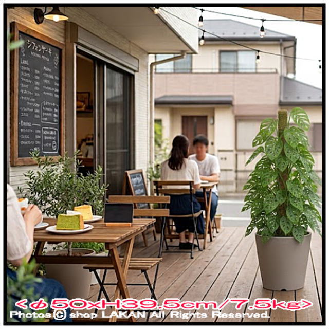 植木鉢 樹脂 軽量 人気 ポリッシュ 