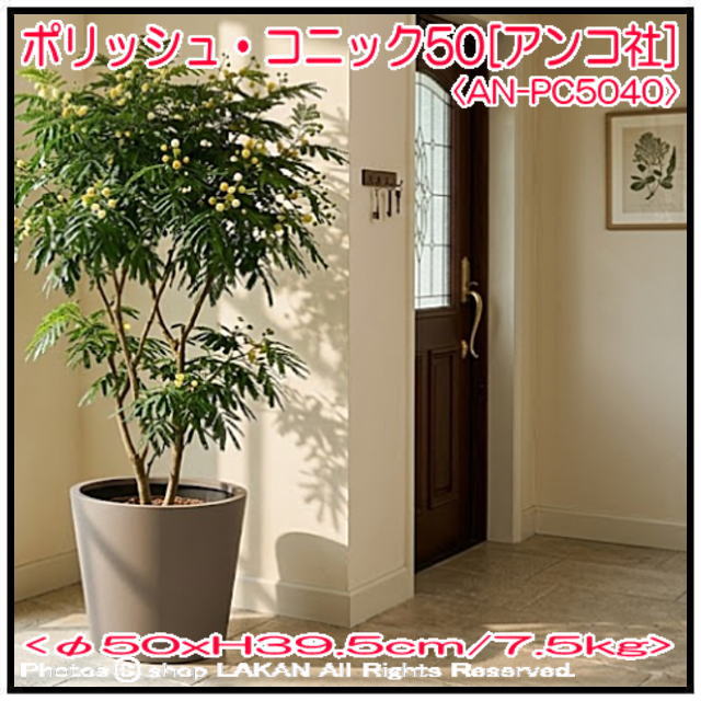 高級感 10号 樹脂製 人気 植木鉢 
