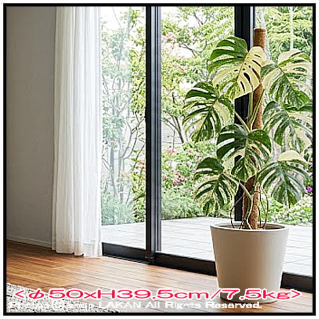 植木鉢 樹脂 軽量 人気 ポリッシュ 