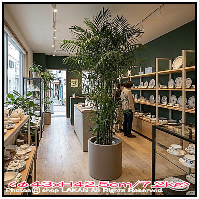 樹脂 10号 植木鉢 人気 高級感 