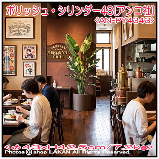 人気 ポリッシュ 植木鉢 AN-PY4343 軽量植木鉢 