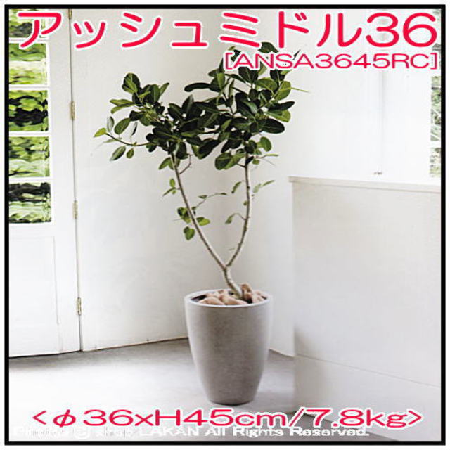 スタウト ファイバーセメント製 植木鉢 