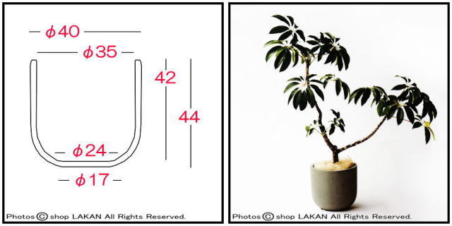 スタウト ANSU4044 セメント植木鉢