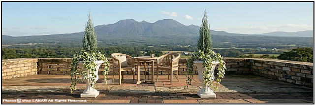 石造花鉢 ヨーロピアン クラシック 