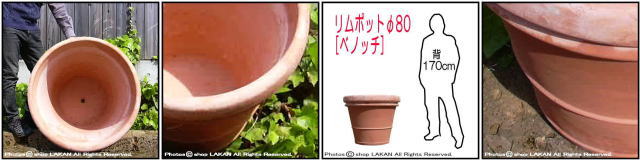 高級 ベノッチ 高品質 リムポット 輸入 テラコッタ植木鉢