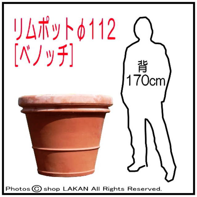 高級 テラコッタ鉢 リムポット 輸入鉢