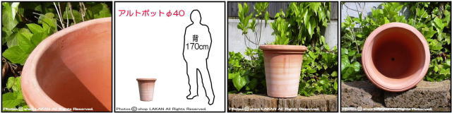 ベノッチ 高品質 テラコッタ鉢 アルトポット 輸入 植木鉢