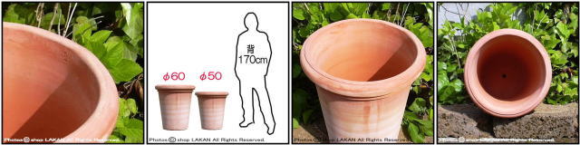 アルトポット 輸入テラコッタ植木鉢 ベノッチ