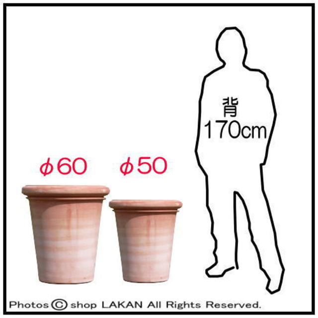 ベノッチ 高品質 テラコッタ製 植木鉢