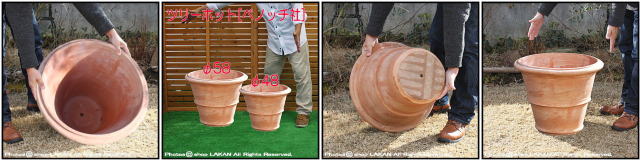 ツリーポット 大型植木鉢 イタリア 高品質 ガーデン 高級 伝統 ベノッチ 垂涎 質感 テラコッタ製