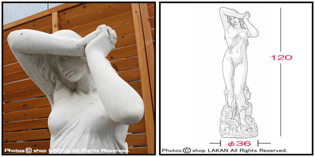 恥じらいのヴィーナス オブジェ ガーデン置物 