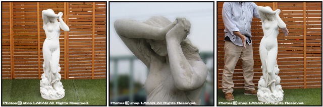 洋風 彫像 置物 恥じらいのヴィーナス 