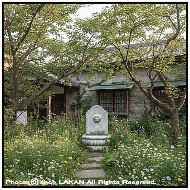 大型 壁泉 フォルミア 家庭用 