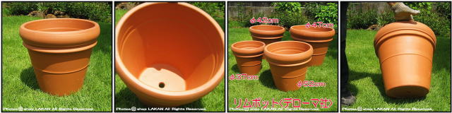 輸入植木鉢 トスカーナ デローマ社 リムポット42 素焼き陶器鉢 大型テラコッタ鉢