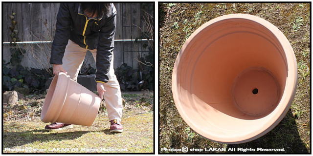 デローマ社 リムポットホワイト42 輸入植木鉢 トスカーナ 大型テラコッタ鉢 素焼き陶器鉢
