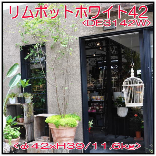 トスカーナ-リムポット ホワイトφ42cm 素焼きテラコッタ鉢 DE-3142W