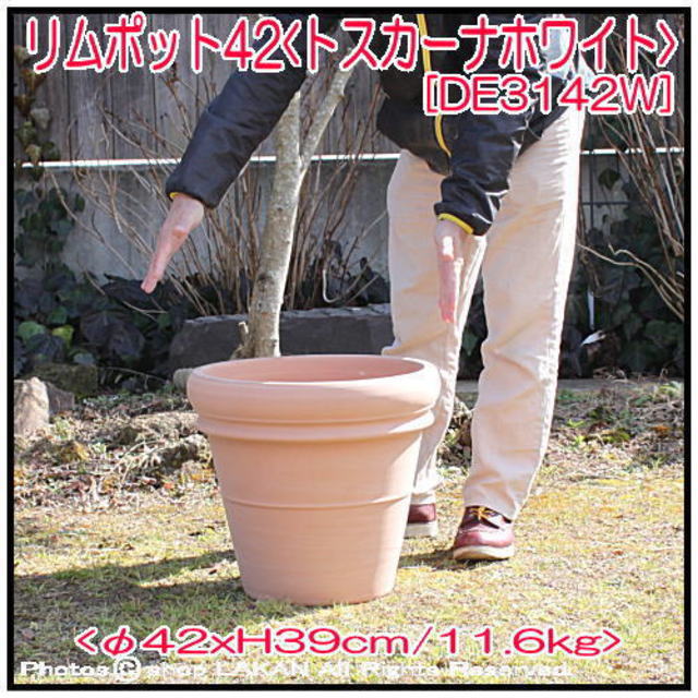 リムポット 素焼きテラコッタ鉢 植木鉢 