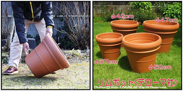 リムポット47　輸入植木鉢　トスカーナ　デローマ社　大型テラコッタ鉢　素焼き陶器鉢　