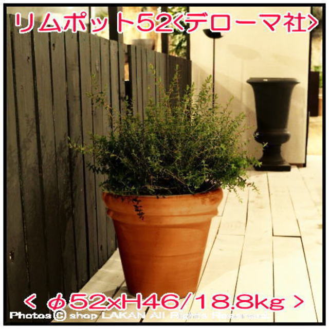 素焼き 陶器鉢 リムポット 輸入植木鉢