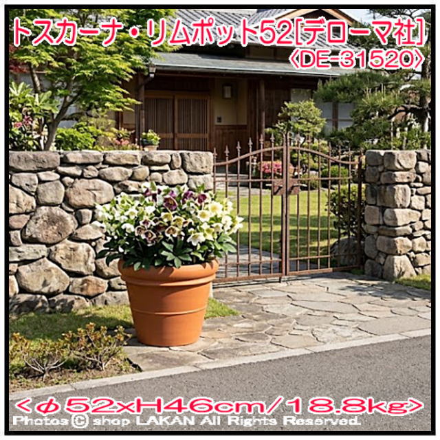 素焼き 陶器鉢 リムポット 輸入植木鉢 
