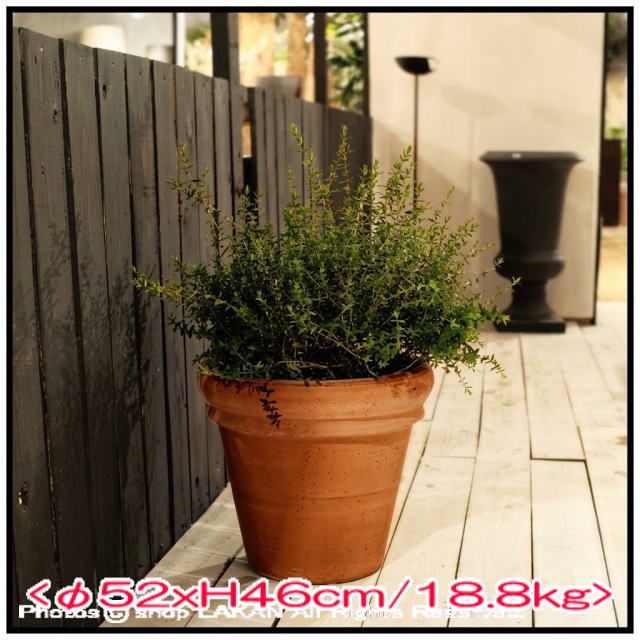大型 輸入 植木鉢 陶器製鉢 リムポット 