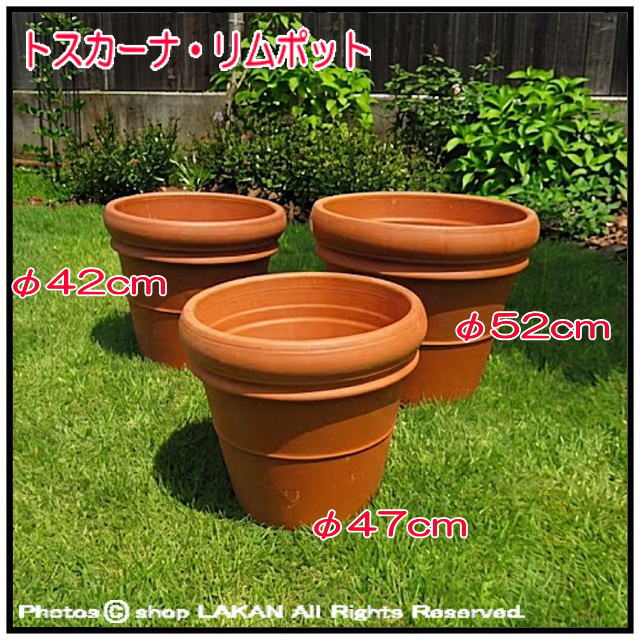 素焼き 陶器鉢 リムポット 輸入植木鉢 