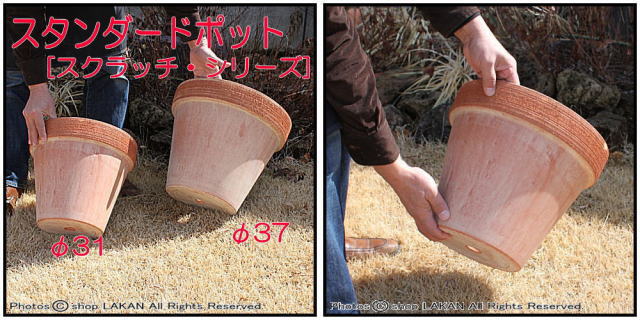デローマ社 スクラッチM 素焼植木鉢