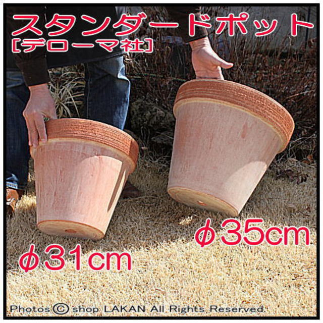 デローマ社 ガーデニング鉢 テラコッタ鉢