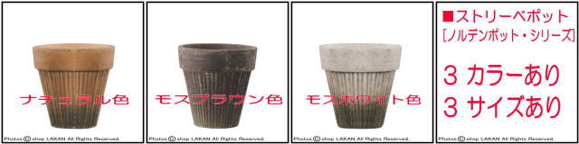 ストリーベポット テラコッタ製 ノルデンポット 苔 ガーデン 小ぶり おしゃれ鉢 ベトナム製 エッシュバッハ