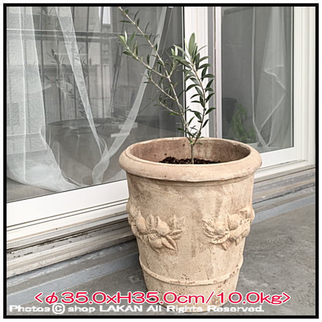 フルーツ柄 テラコッタ製 人気 植木鉢 