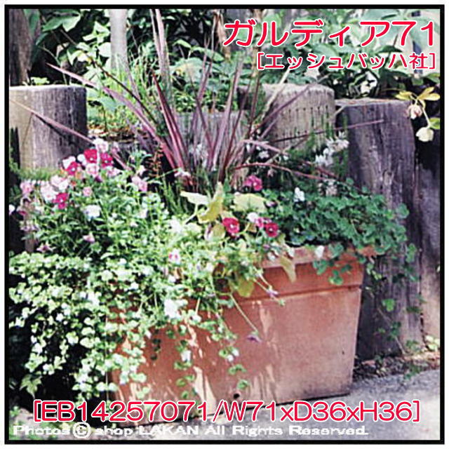 横長テラコッタ　素焼き植木鉢　無地柄　ガルデア　テラマーナ　人気　輸入鉢　