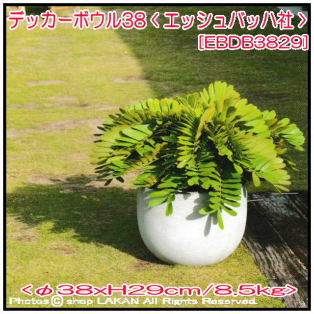 植木鉢 デッカー ボウル鉢 軽量コンクリート 