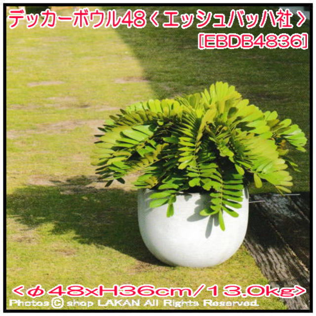 植木鉢 デッカー ボウル鉢 軽量コンクリート 