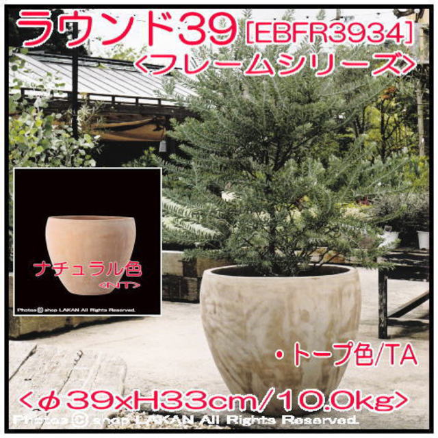 フレーム テラコッタ製 ガーデニング 植木鉢