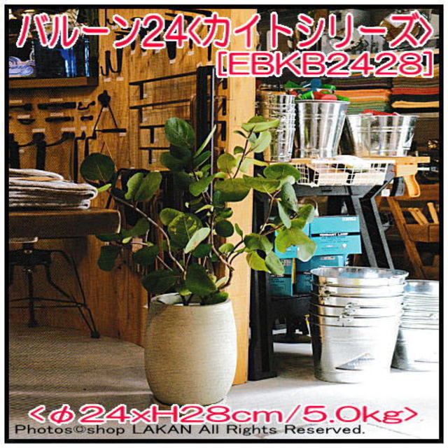 エッシュバッハ 陶器 テラコッタ製 植木鉢 