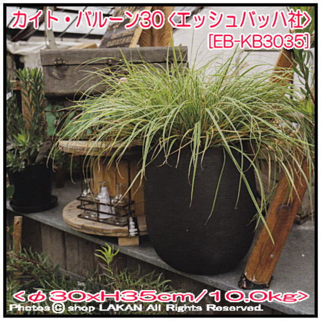 輸入テラコッタ植木鉢 テラコッタ鉢 