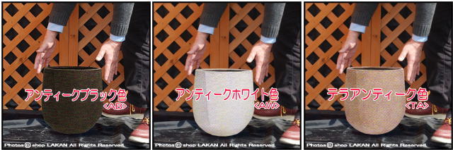 エッシュバッハ社 Google ベトナム鉢 