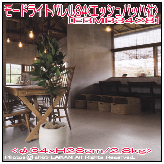 グラスファイバー EBMB3428 植木鉢 シンプル モダン 